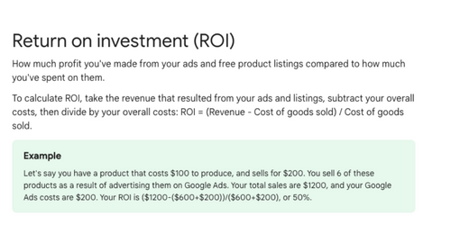 5 Reasons Your Business Should Avoid Google Ads_ ROI_ Analytics  That Profit (1)