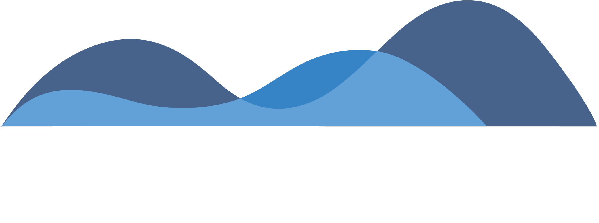 Analytics_That_Profit_Logo_Reverse-1