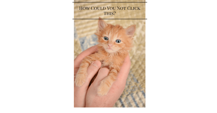 3 things business owners need to know about click bait.png