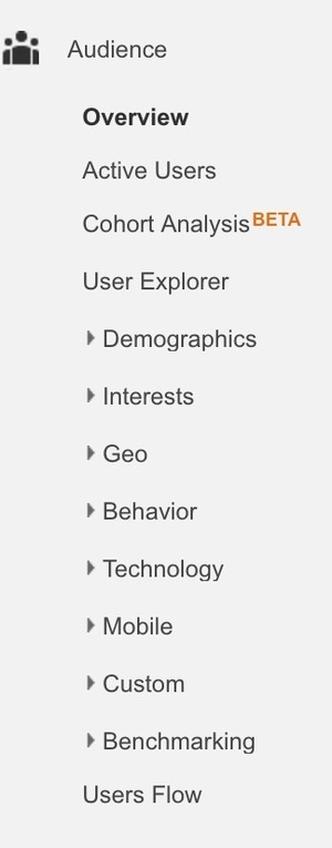 Audience+Report+in+Google+Analytics.jpg