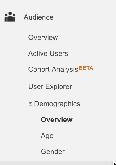 Demographics+in+Google+Analytics.jpg