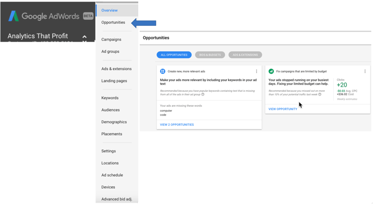 opportunities in google adwords analytics that profit-1.png