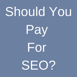 Should You Pay For SEO_analytics that profit