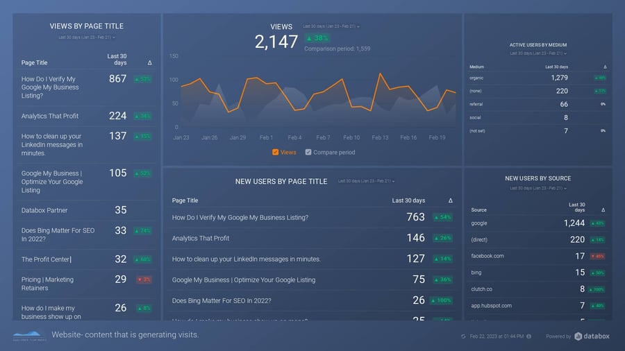 What Business Owners Need to Measure on their Website_databox_analytics that profit