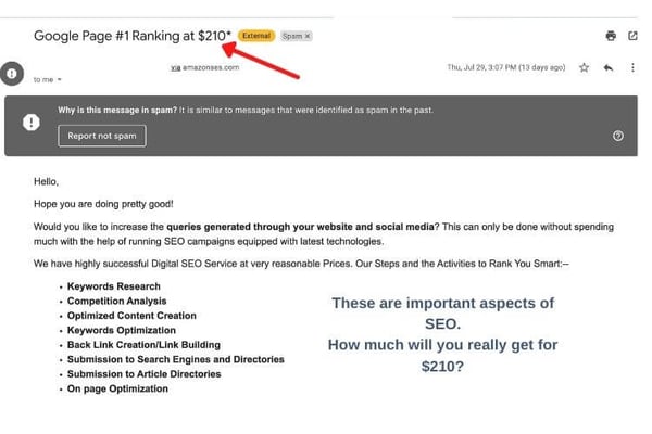 how to know if your seo is a scam _ 1st page on google_analytics that profit (1)