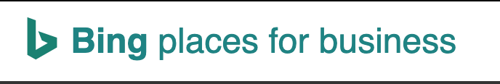 bing places for business_analytics that profit