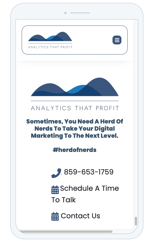 meeting link and phone number and form on website- phil wiseman-analytics that profit