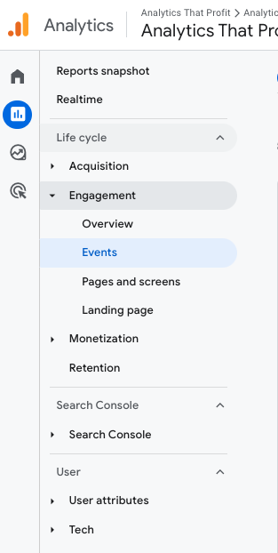 phone calls in google analytics_analytics that profit