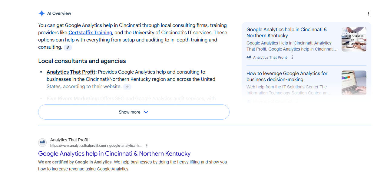 ai overview search results-phil wiseman-analytics that profit