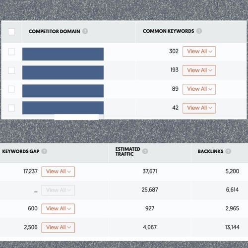 seo reporting_competitor analysis_analytics that profit